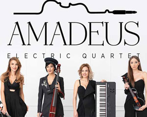 Amadeus electric quartet